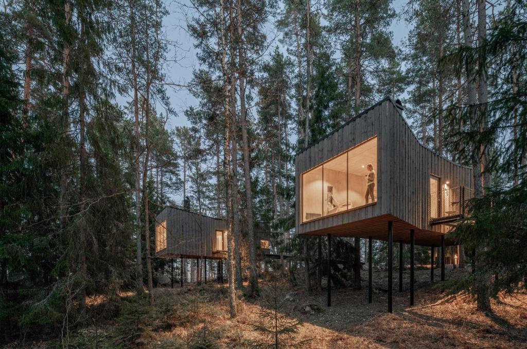 A raised timber cabin among pines at Trakt Forest Hotel with a boardwalk leading to it