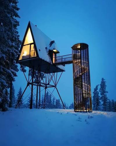 A cabin raised among pines at PAN Treetop Cabins with a stair running up to it